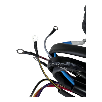 Dniepr MT 12V DNIEPR electrical installation lamp bulb ignition stop